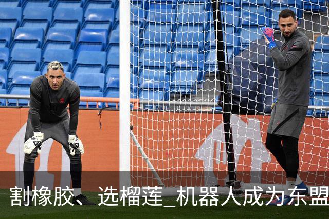 割橡胶、选榴莲 机器人成为东盟市场“新宠” 各国释放明确需求信号